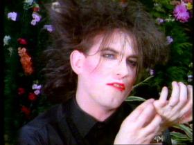 The Cure The Caterpillar
